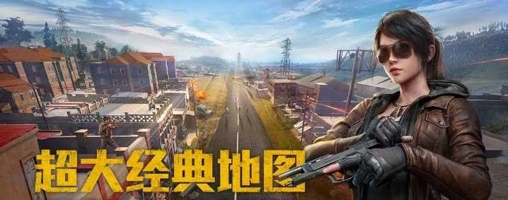 和平精英国庆版(4)