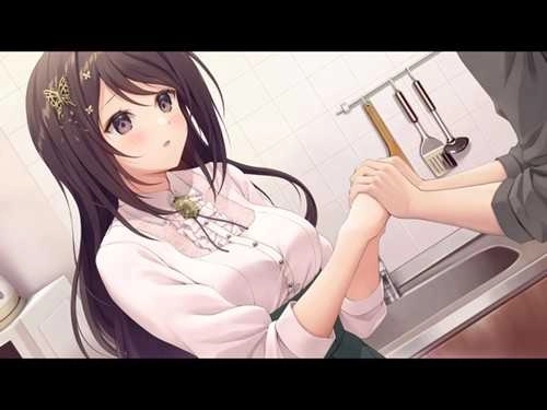 cosplay love汉化版(1)