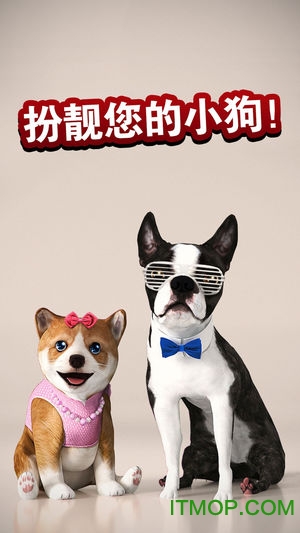 狗狗模拟器(4)