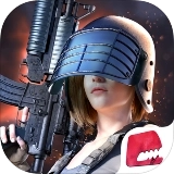 代号英雄国际版