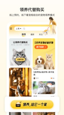 附近有喵(3)