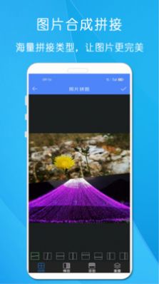 剪印照片拼图(3)