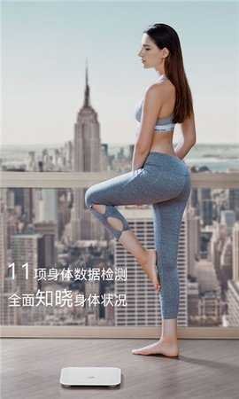荣耀体脂秤(2)