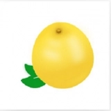 黄柚水印相机客户端