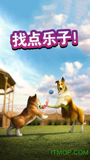狗狗模拟器(2)