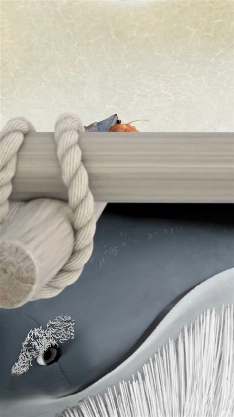 行走的老鲸鱼中文版(3)