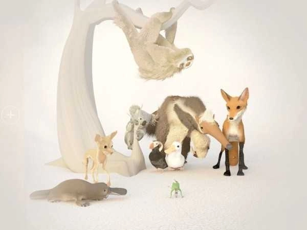 行走的老鲸鱼(4)