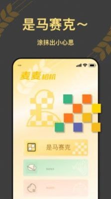 麦麦相机(1)