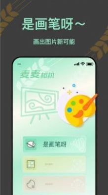 麦麦相机(2)