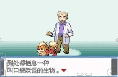 口袋妖怪永恒之焱完整版(2)