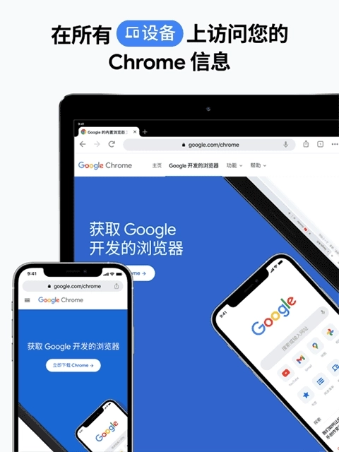 谷歌浏览器ipad版