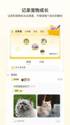 附近有喵(1)