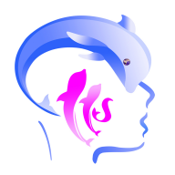 脑力中国官网版