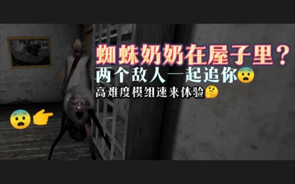 恐怖蜘蛛奶奶中文版(3)