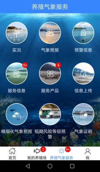 曹妃甸养殖气象(2)