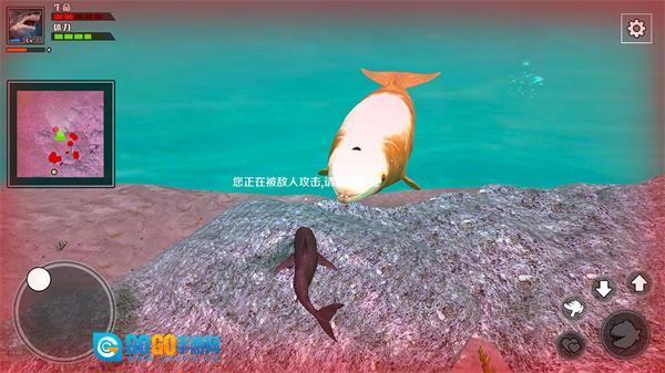 饥饿鲨鱼求生图2