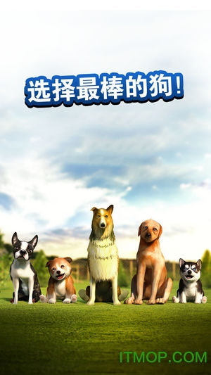 狗狗模拟器(1)