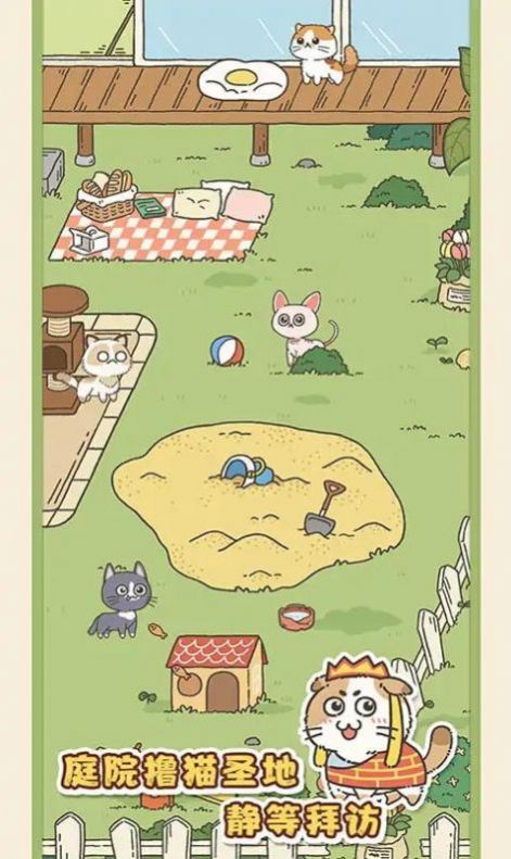 找下猫(2)