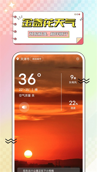 金盏花天气(2)