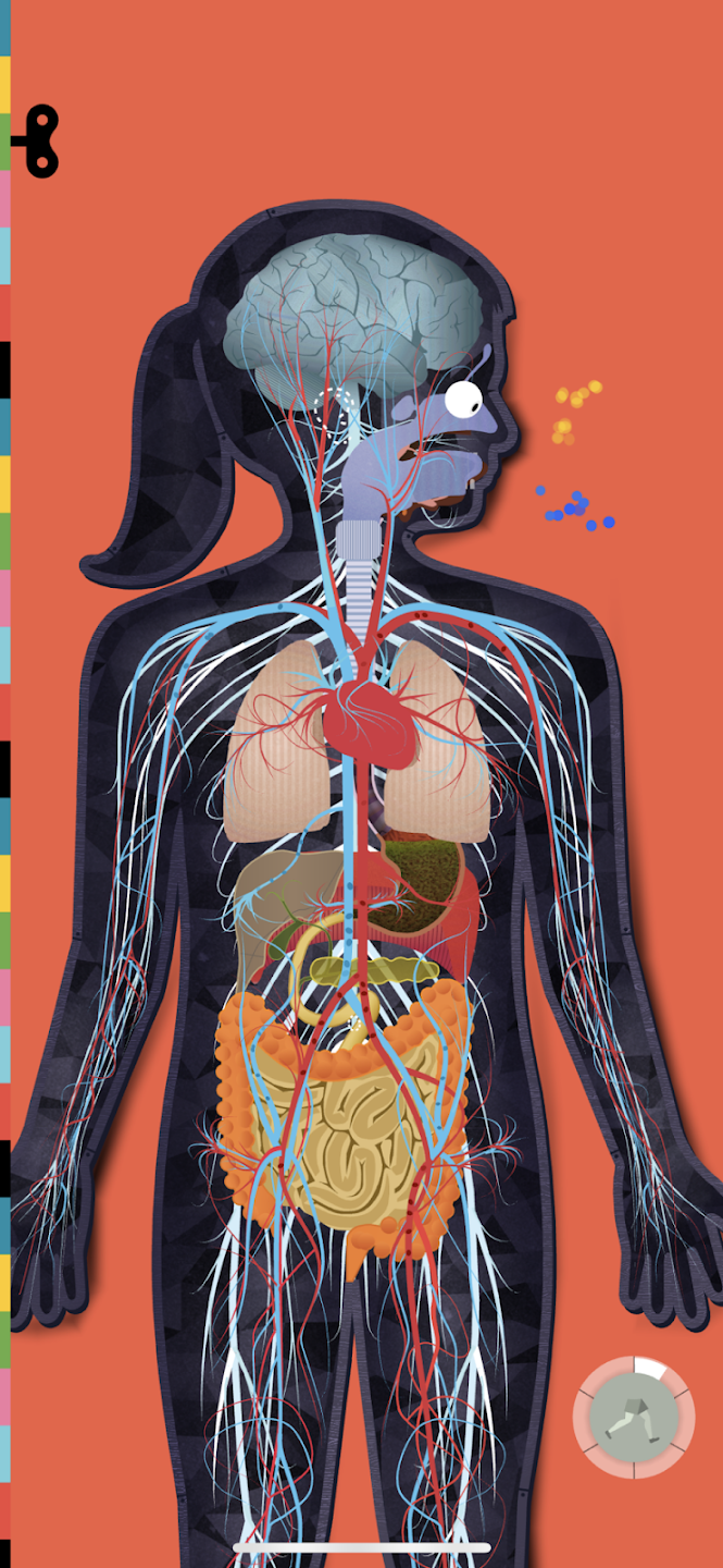 人体探秘汉化版图3