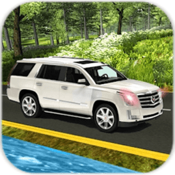 自由驾驶模拟器中文版