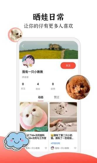 猫猫社区