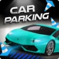 真正的停车大师(Real Car Parking Simulator)