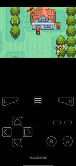 gba口袋妖怪最新版(2)