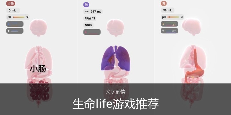 生命life游戏推荐