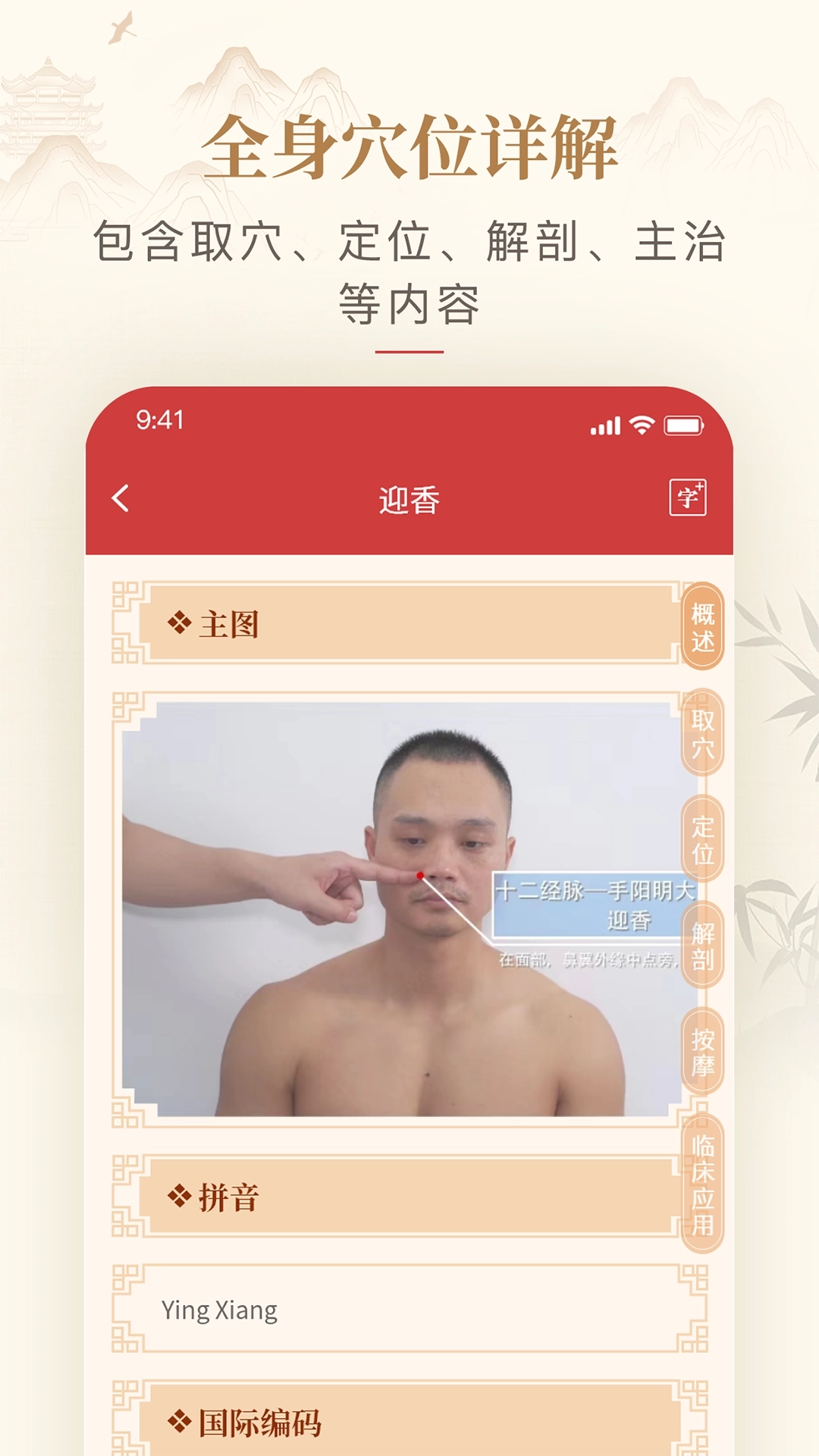 人体穴位图解纯净版图2