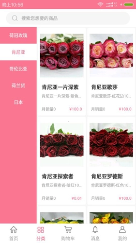 宋宇花城图1