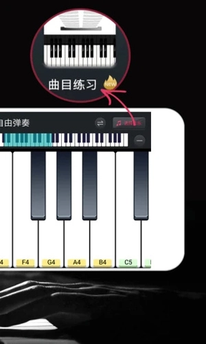 模拟钢琴手机版图2