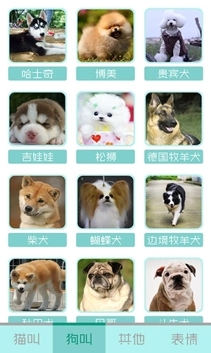 猫叫声狗叫声模拟器图1