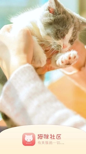猫咪社区免费