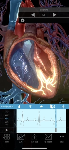 生理和病理学手机版图1