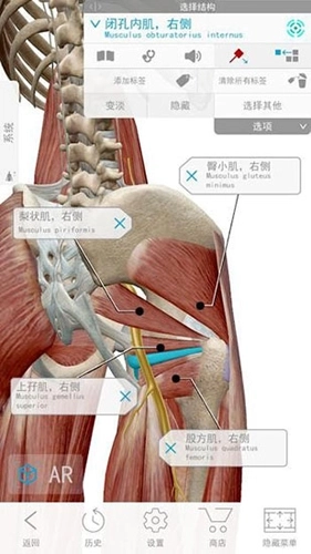 2026人体解剖学图谱图3