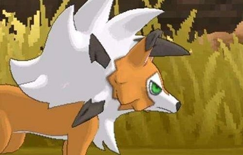 口袋妖怪究极之日金手指