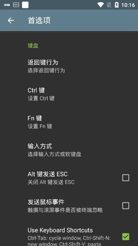 terminal emulator图1