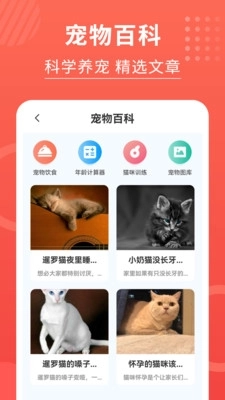 猫猫翻译器图2