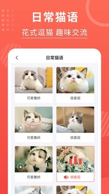 猫猫翻译器图4