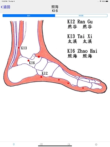 子午灵龟安卓版