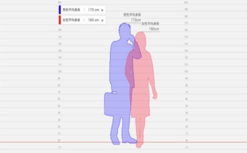 身长比较日本软件中文版图1