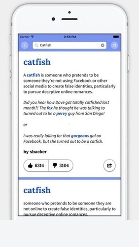Urban Dictionary俚语翻译正版
