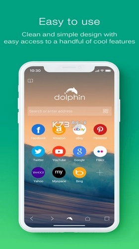 海豚浏览器国际服图3