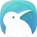 KiwiBrowser