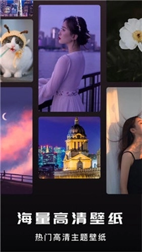 萤火虫壁纸最新版