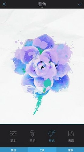 enlight photoloop图3