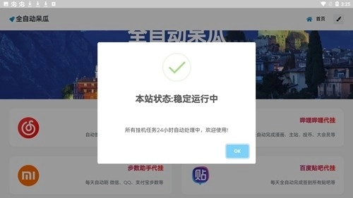 全自动呆瓜图4