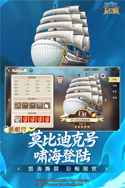 航海王启航国际服