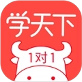 学天下1对1